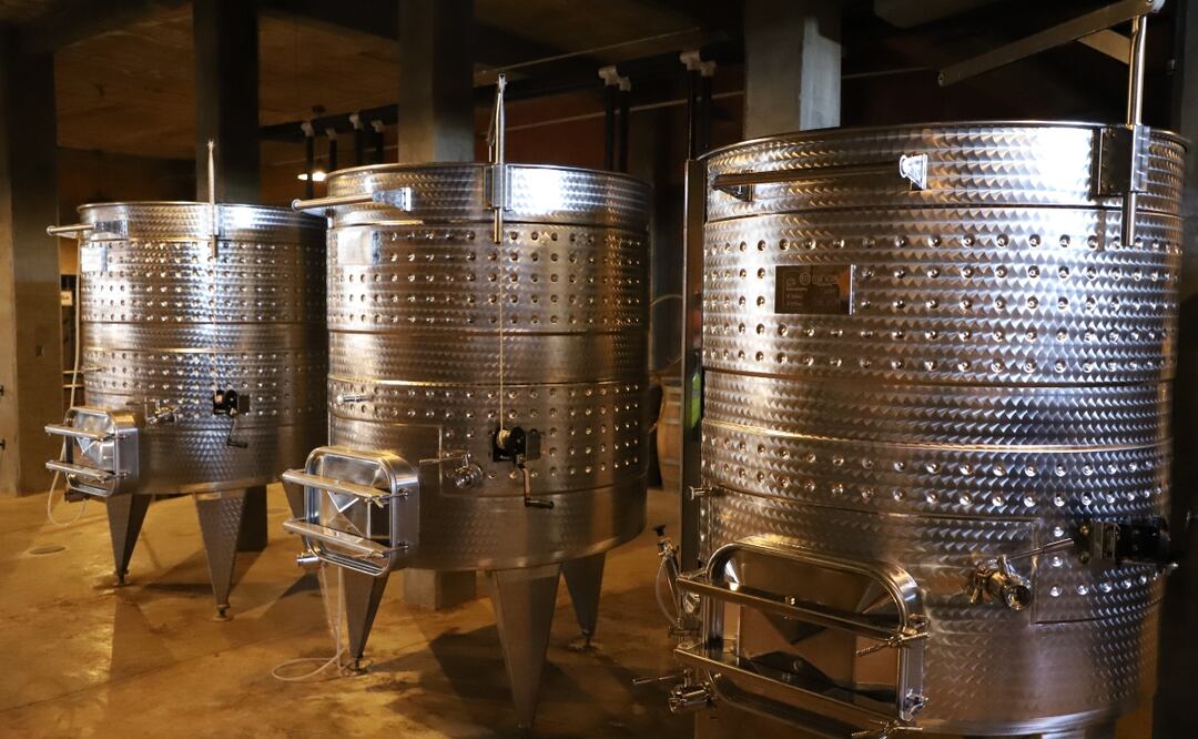 Vinicultura por el Valle de la Independencia. Foto: cortesía