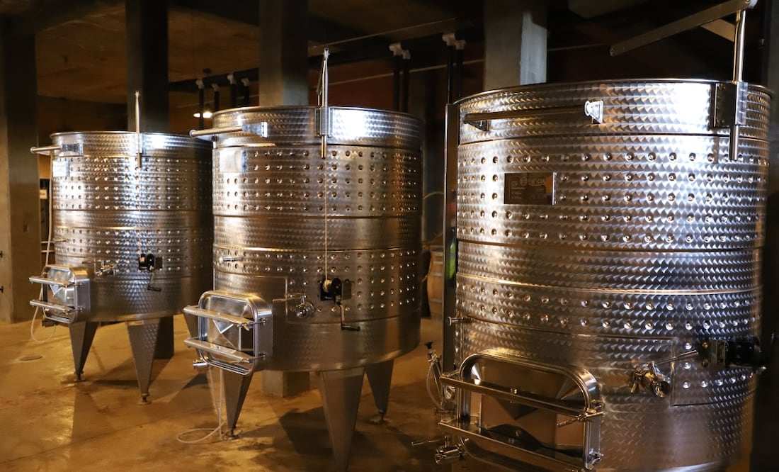 Vinicultura por el Valle de la Independencia. Foto: cortesía