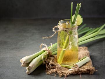 Descubre qué es el té limón y cuáles son sus beneficios a la salud