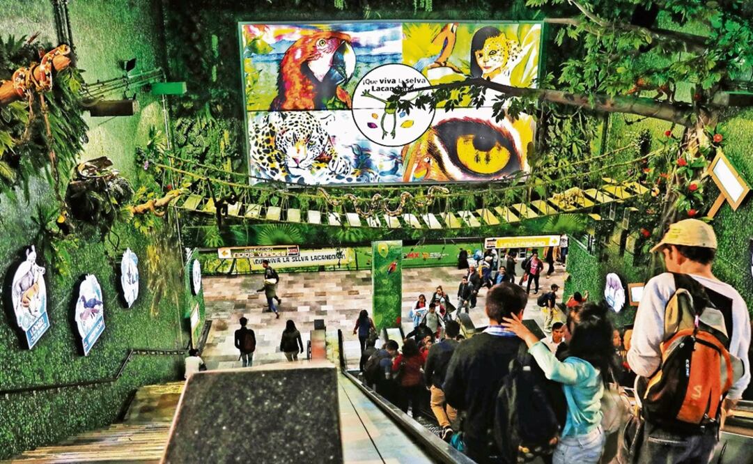 The metro recreated the Lacandona jungle in Viveros - Photo: Juan Carlos Reyes/EL UNIVERSAL