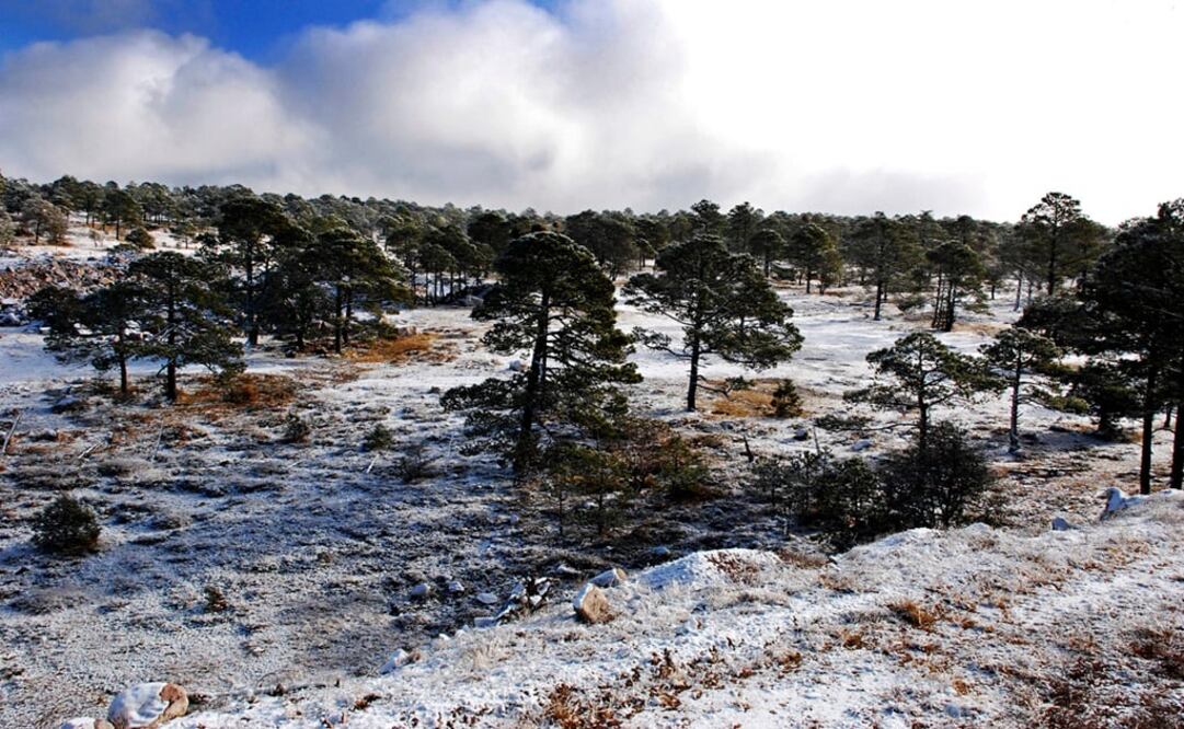 Foto: Archivo/ EL UNIVERSAL