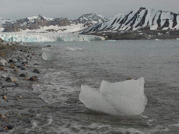 Climate change opens new challenges and opportunities in the Northern Pole