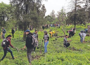 Comienza plan de reforestación del Cerro de la Estrella