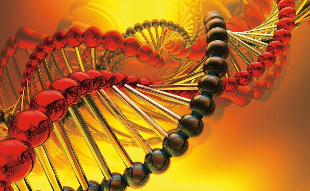 The company also exports their products to Asia – Photo: File Photo/EL UNIVERSAL