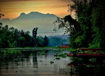 Paseo nocturno en trajinera para reconstruir Xochimilco