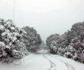 Por frente frío cae nieve en 4 estados