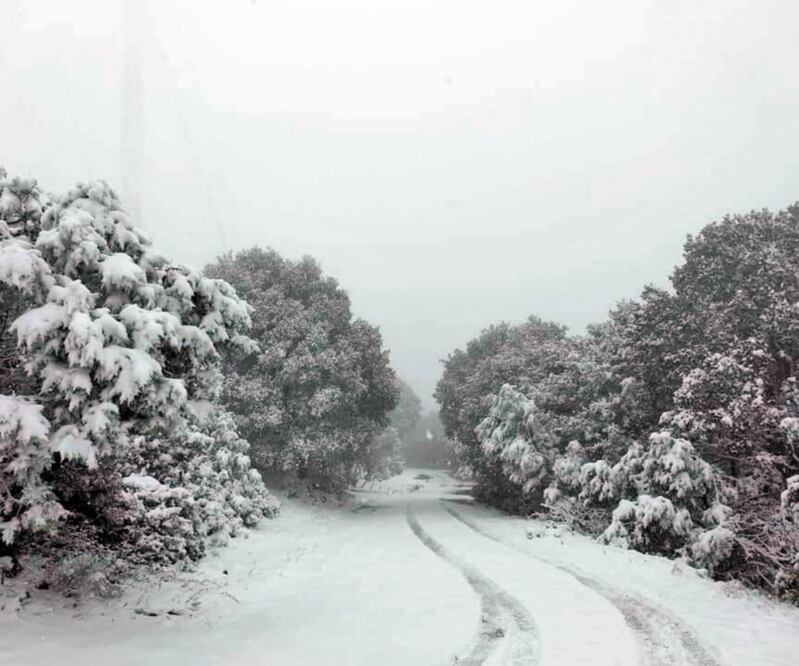 En Zacatecas se registraron nevadas en el Cerro El Papantón, ubicado en el municipio de Sombrerete y en zonas altas de Concepción del Oro. Foto/ESPECIAL