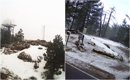 Nieva en San Pedro Mártir, Baja California
