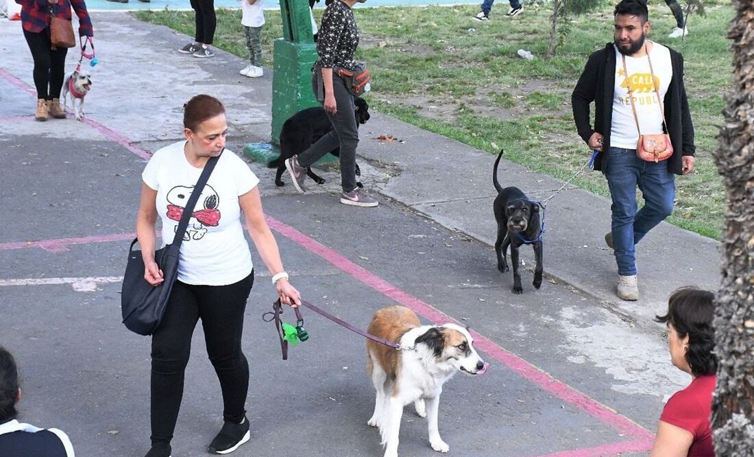 Tlalpan inició el segundo Taller de Rehabilitación de Perros con Miedo a Pirotecnia. FOTO: Especial/ EL UNIVERSAL/