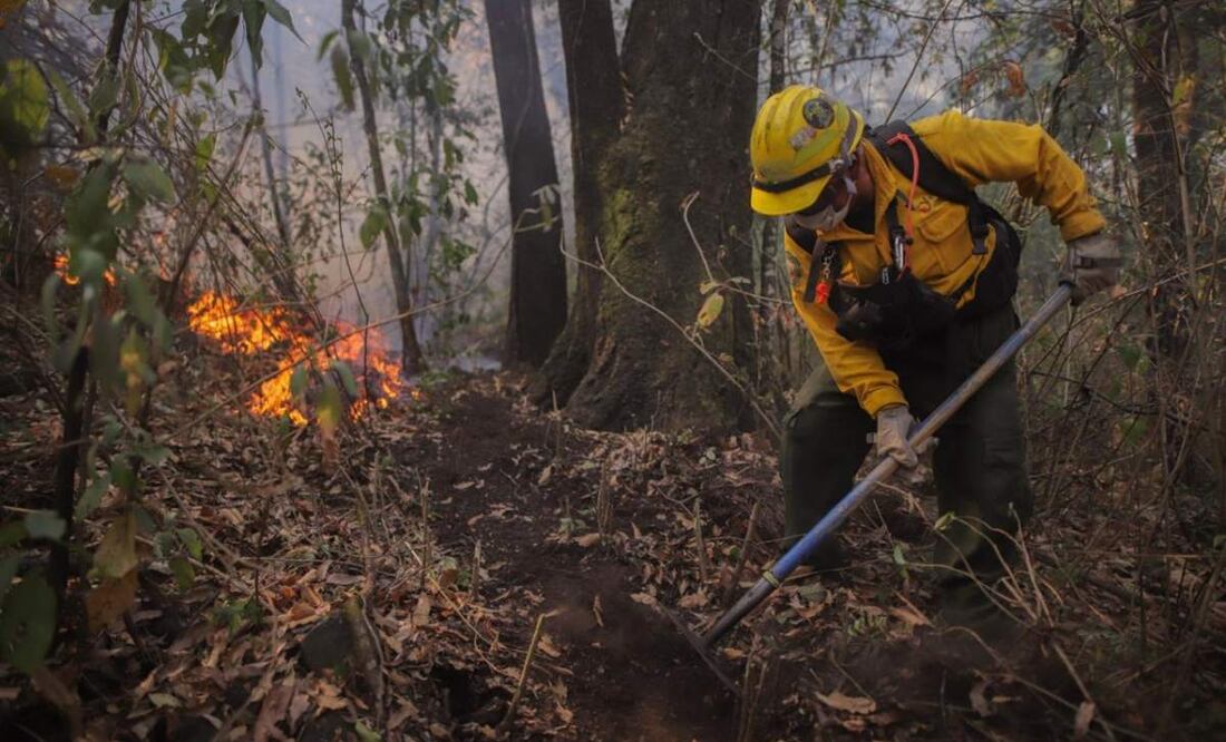 Cinco de los incendios forestales en Morelos se reportan en los municipios de Tepoztlán y Tlalnepantla (15/04/2025). Foto: Especial
