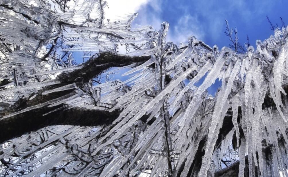 Ola de frío cubre de nieve ciudades al sur de Brasil; suceso que no ocurría desde 1957