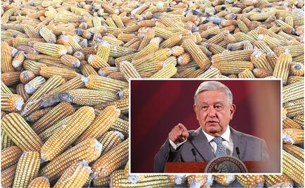 México debe evitar llegar a solicitud de un panel de controversias por maíz transgénico: IMCO