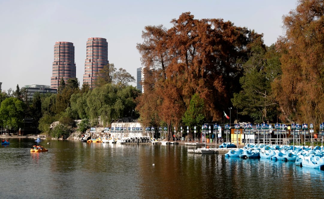 Recorrido por el Lago de Chapultepec en la Ciudad de México en el que se han encontrado peces muertos en los últimos días. (FOTO: IVÁN STEPHENS. EL UNIVERSAL)
