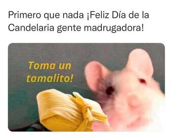 Día de la Candelaria 2025; los mejores memes para disfrutar los tamales este 2 de febrero