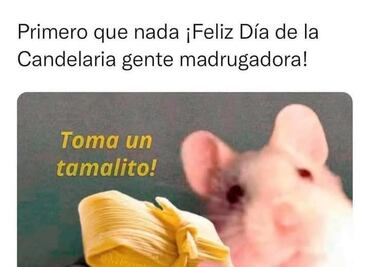 Día de la Candelaria 2025; los mejores memes para disfrutar los tamales este 2 de febrero