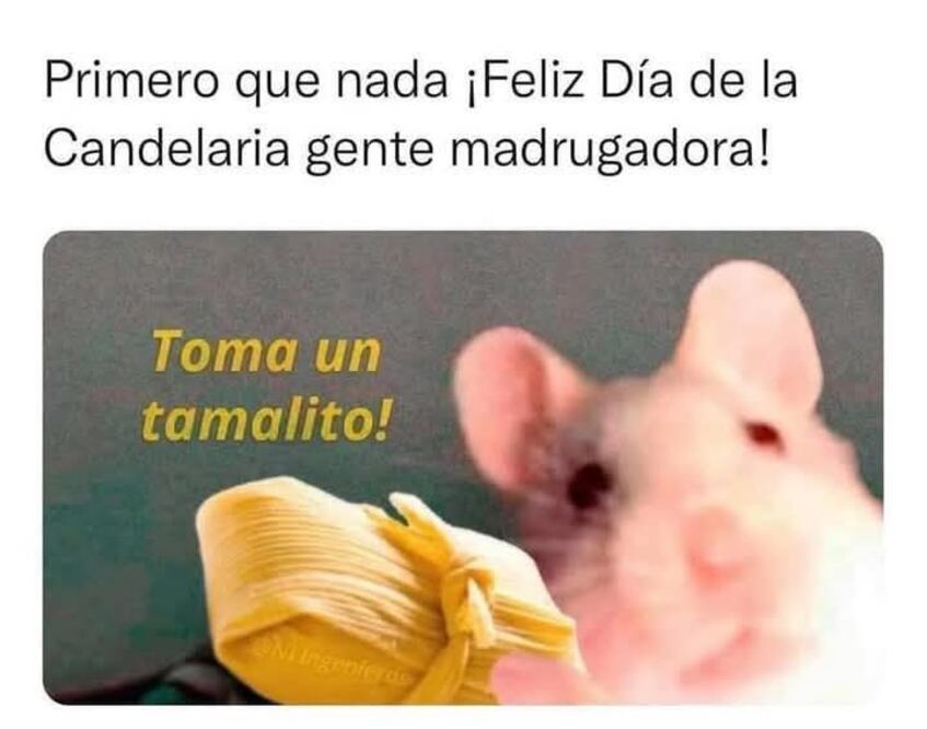 Los mejores memes para disfrutar los tamales este 2 de febrero
Foto: Captura de pantalla en X