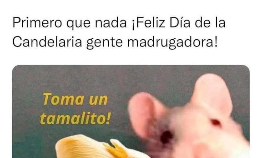 Los mejores memes para disfrutar los tamales este 2 de febrero
Foto: Captura de pantalla en X