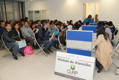 ¿Tienes problemas para descargar tu CURP digital? Tal vez sea por esto