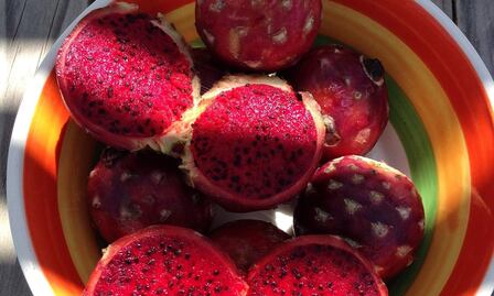 Festival de la Pitaya 2025: lugar, fecha y actividades