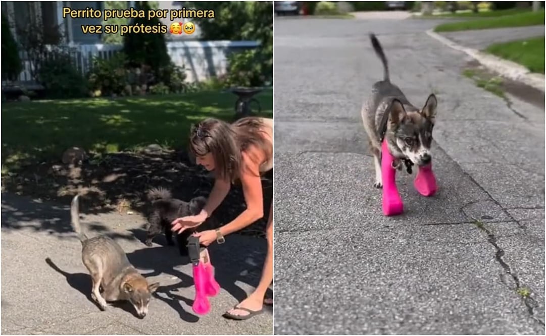 El video cuenta con 4.3 millones de reproducciones más de 508 mil “likes” y con diversos comentarios por parte de usuarios de la red social. Foto: TikTok. @elcomerciope