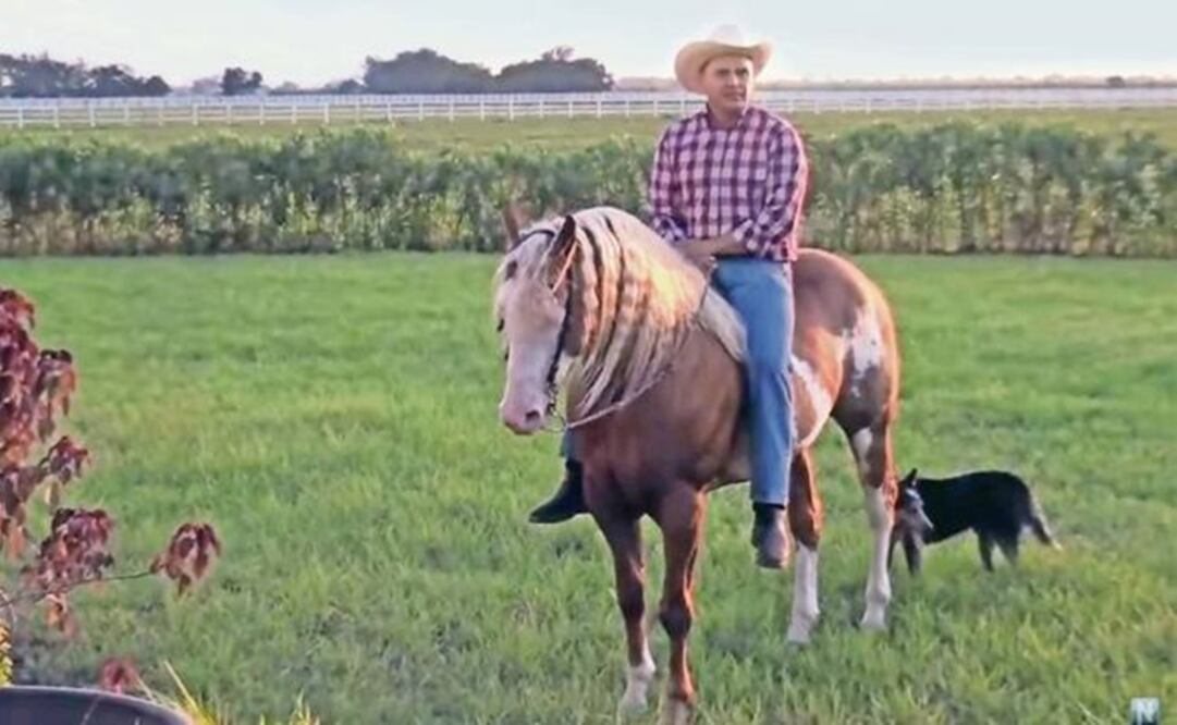 Los dos predios asegurados no se encuentra citados en los juicios de amparo promovidos por el mandatario para intentar (Foto: Archivo EL UNIVERSAL)