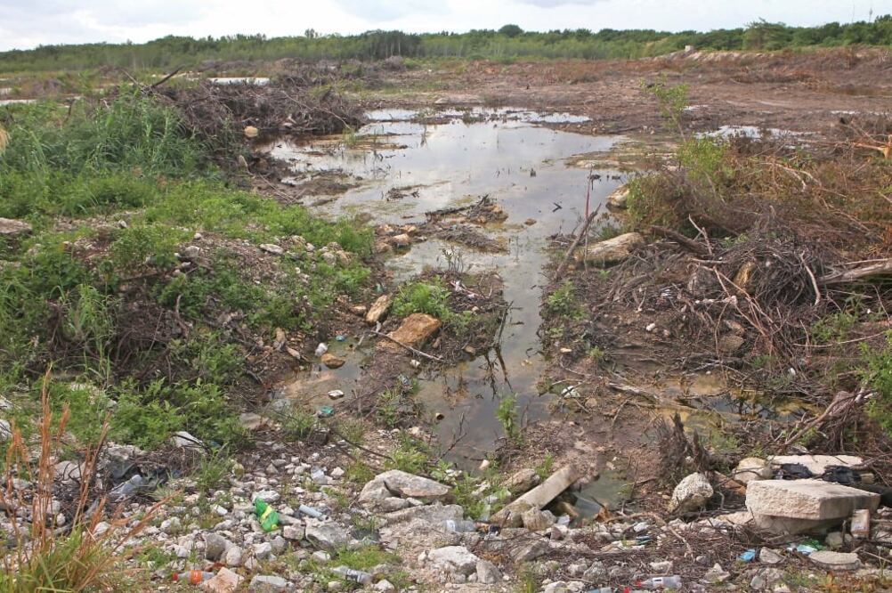 Para rechazar el permiso, el Instituto de Impacto y Riesgo Ambiental invocó las normas 059 y 022 y los criterios contenidos en el Acuerdo de Coordinación del Ordenamiento Ecológico del Sistema Lagunar Nichupté (ADRIÁN HERNÁNDEZ. EL UNIVERSAL)