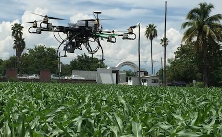 Indispensable integración del campo y tecnología: López Fernández Moris