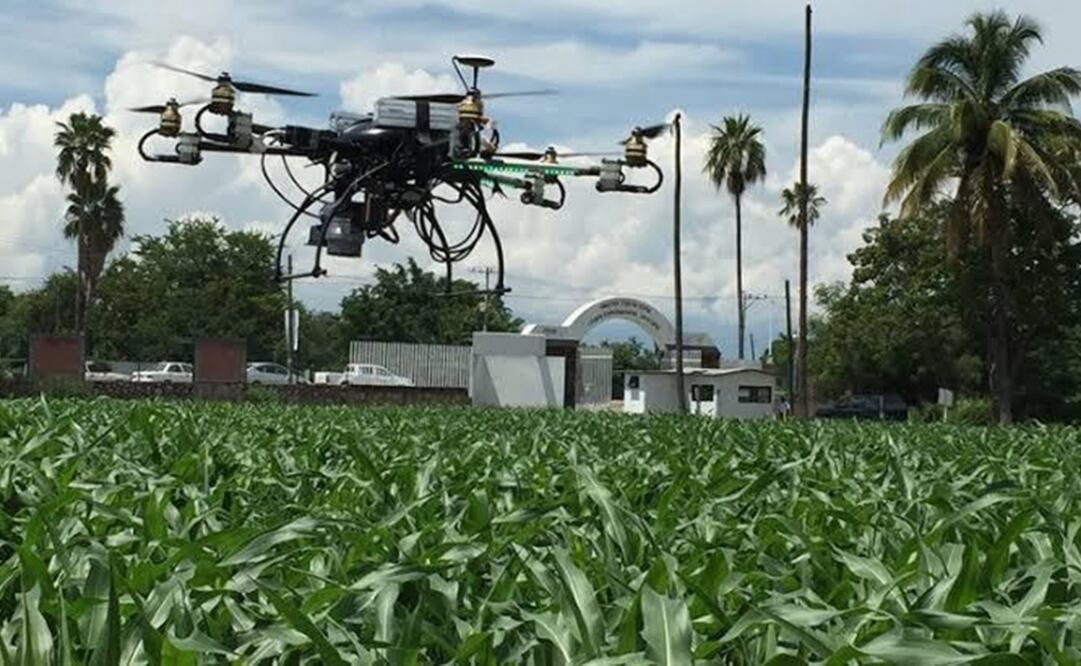 Tecnología en el campo mexicano. Foto: Especial 