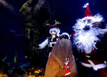 FOTOS: Las mejores imágenes del día en EL UNIVERSAL