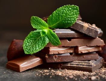 Los beneficios del chocolate a la salud