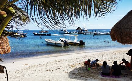 El futuro de los corales, entre la desolación y la esperanza