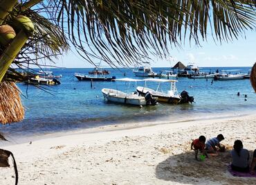 El futuro de los corales, entre la desolación y la esperanza