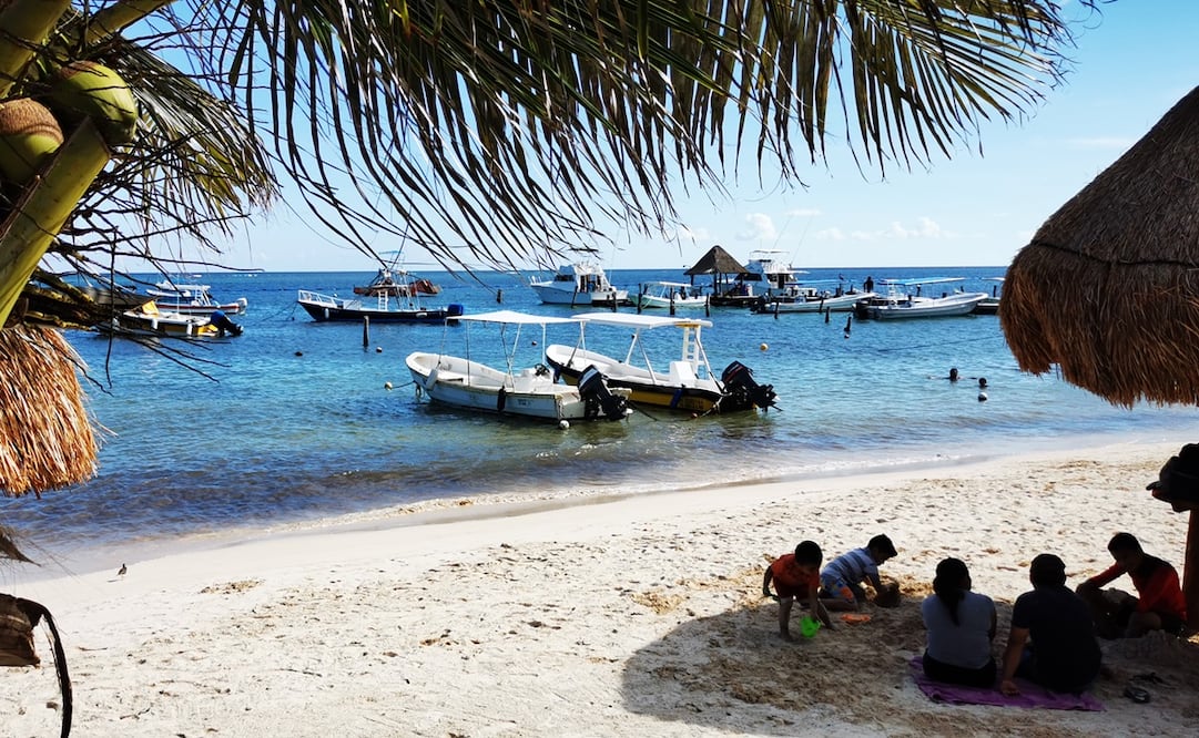 El futuro de los corales, entre la desolación y la esperanza