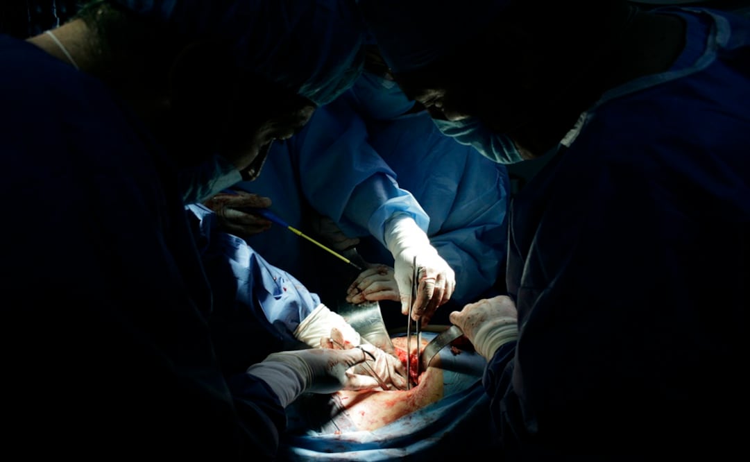 Foto: Archivo/ EL UNIVERSAL                        