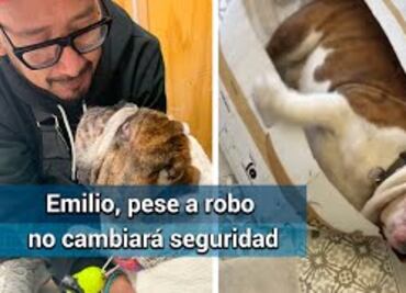 “Amarrar a bulldog Emilio sería quitarle su libertad”