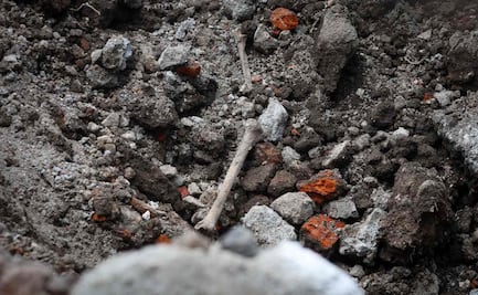 Titular de Comisión de Búsqueda de Personas en CDMX confirma hallazgo de restos óseos en construcción de Reforma; investigan procedencia