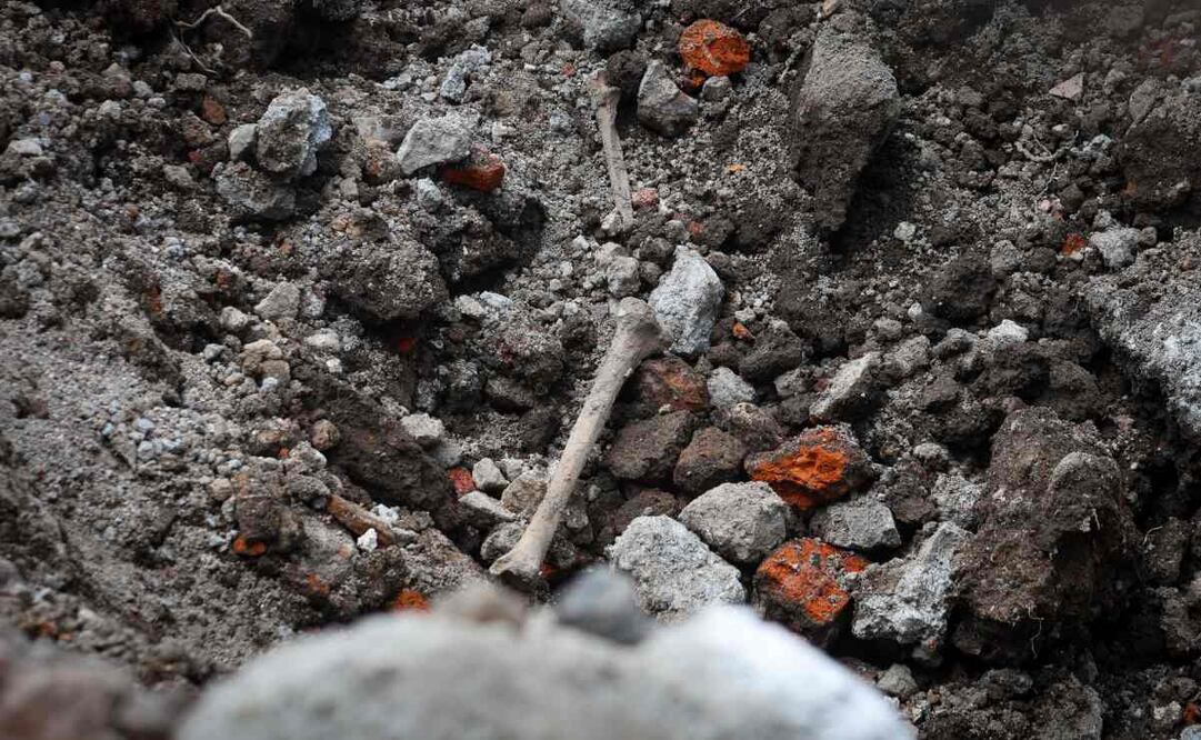 Director de la Comisión de Búsqueda de Personas confirma hallazgo de restos óseos en construcción de la Cuauhtémoc (10/07/2025). Foto: Luis Camacho / EL UNIVERSAL