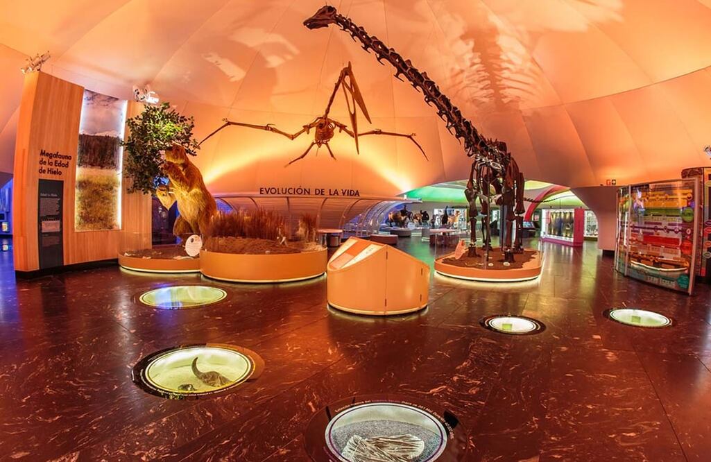 FOTO: Especial/ EL UNIVERSAL/