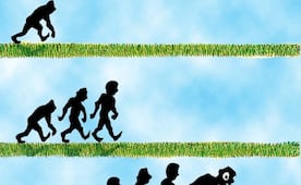 La evolución mundialista