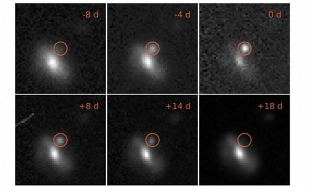 (FOTO: M. PURSIAINEN / UNIVERSITY OF SOUTHAMPTON)