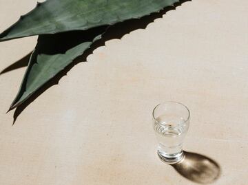 El tequila ya no tiene el sabor de antes