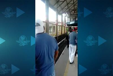Captan en video a perro cuando pasea en las vías de Metro Impulsora