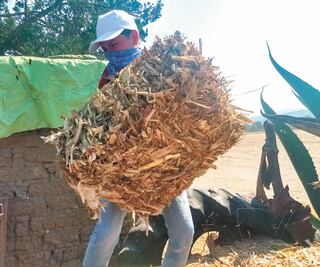 Estados Unidos prepara denuncias laborales vía el T-MEC 
