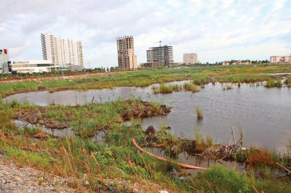 La Comisión Nacional de los Derechos Humanos advirtió que el desmonte y el despalme de vegetación de humedal vulneró el derecho a un ambiente sano. (ARCHIVO EL UNIVERSAL)