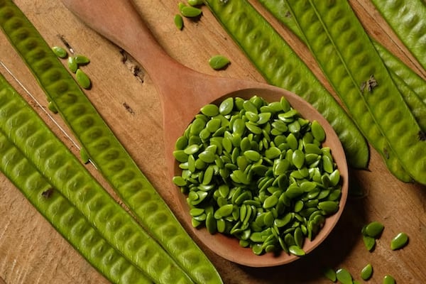 Para qué sirve comer guaje 