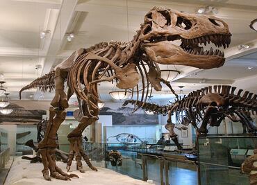 Día Internacional de los Museos, con actividades y recorridos virtuales