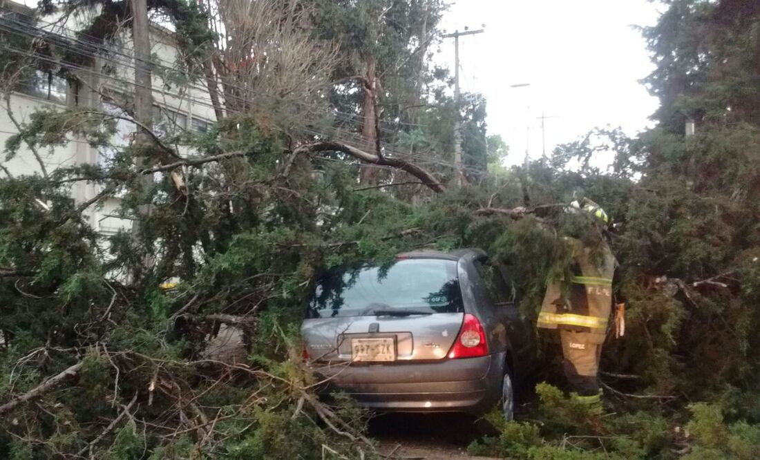 FOTOS: Protección Civil