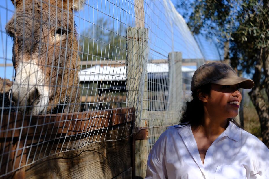 Tengo un compromiso con cuidar el destino y su ecosistema a una escala pequeña pero bien hecha. ”  
Shayla Alvarado, 
chef de Lunario.