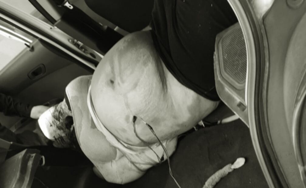 Cintya desapareció en Edomex y la hallaron muerta en taxi abandonado en Iztacalco