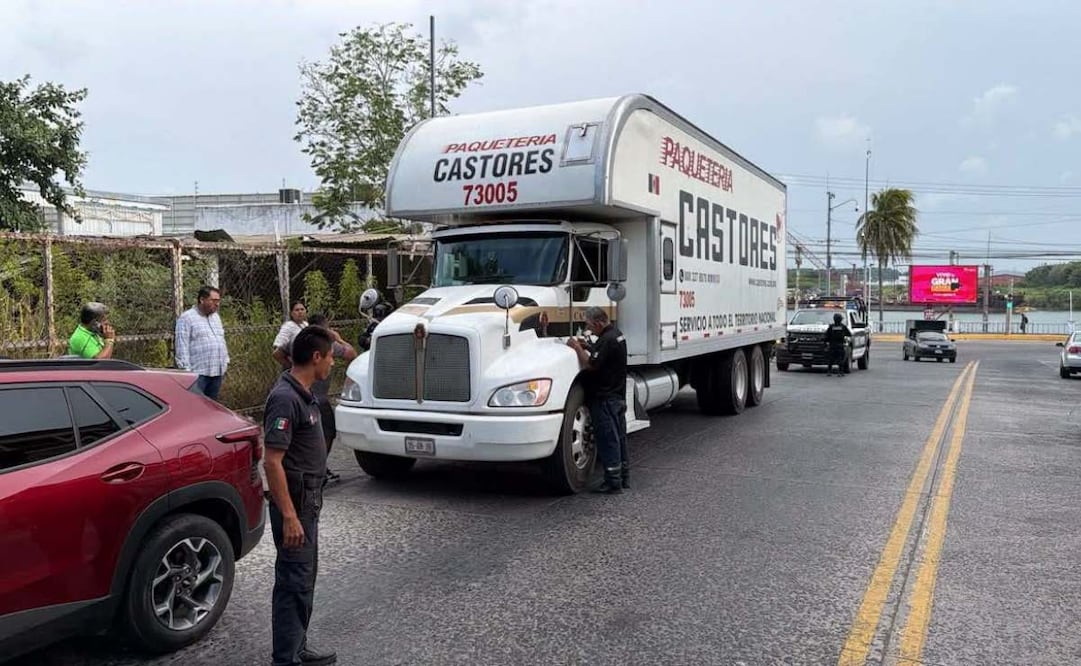 Presunto trabajador de Grupo Castores fue captado en video realizando la captura y robo de una iguana verde en Tuxpan, Veracruz. Foto: Especial